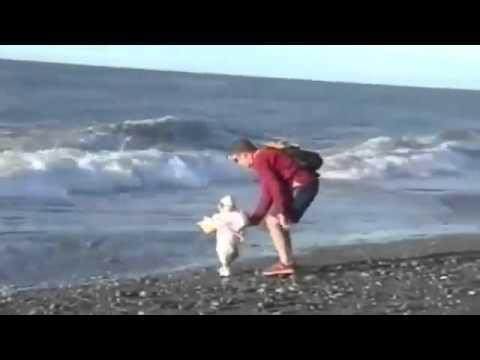 Отцы с отменной реакцией