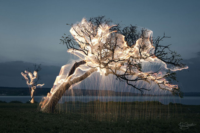 Фотограф снимает удивительные фотографии, показывая свет, «льющийся» с деревьев