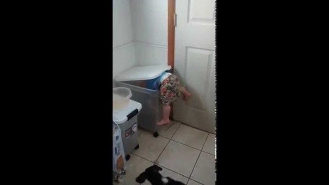 Мальчик кормит собаку