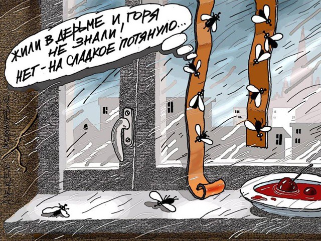 Карикатуры и забавные картинки 