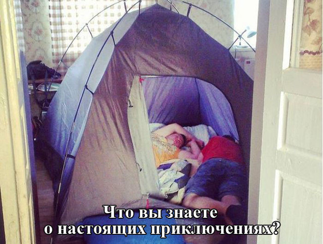 Прикольные картинки