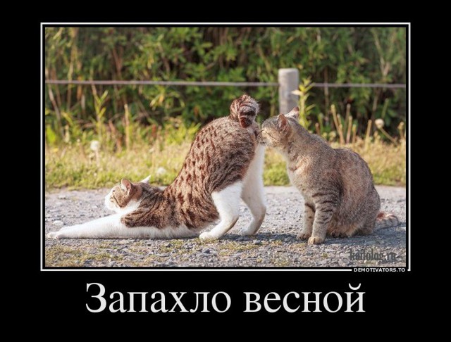 Подборка демотиваторов