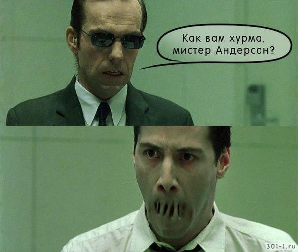 Графская коллекция. Часть 2
