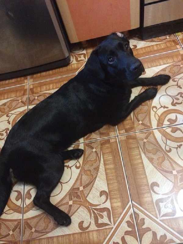 Боня
