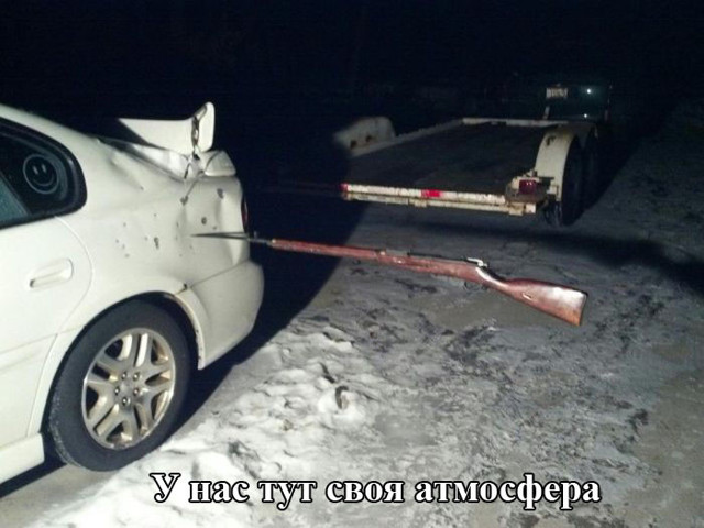 Прикольные картинки