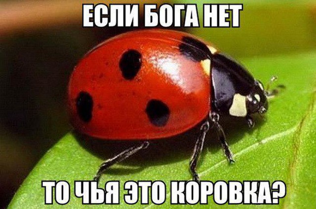 Сборник небольших приколов!