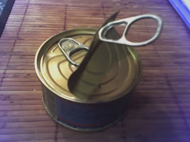 29 фотографий, доказывающих, что весь мир против вас