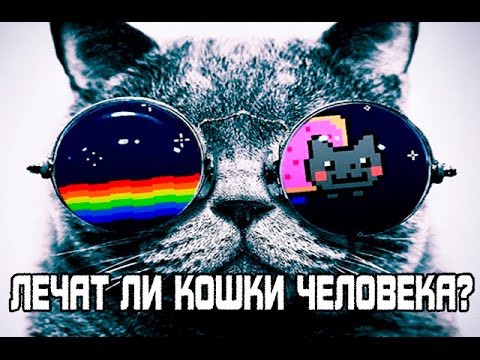 Лечат ли кошки человека? 