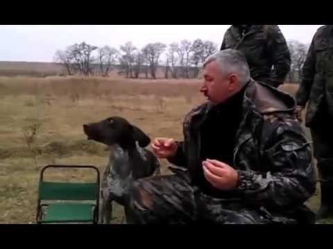 Горячие приколы