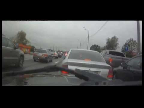 А ну, поговори лучше с моей собакой!