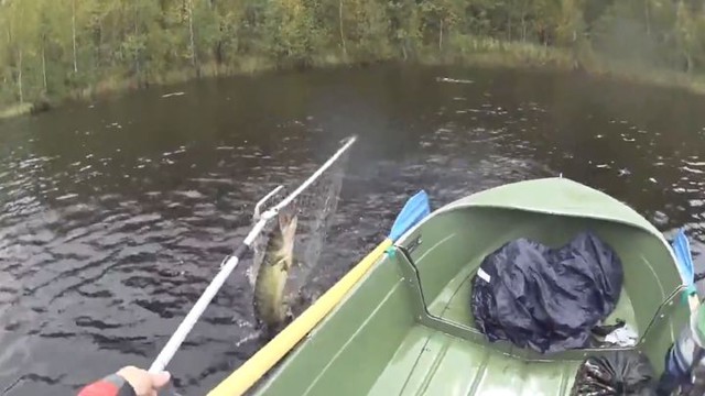  Емеле 21–го века приходится несладко