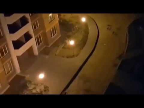 Когда скучно и делать нефиг