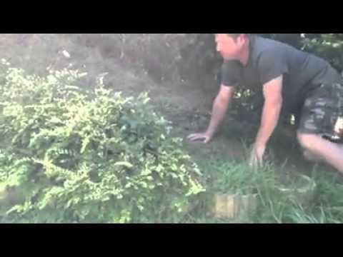 Охота на опасного зверя 