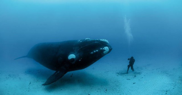 7 долгожителей нашей планеты