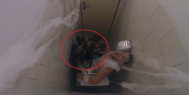 Это существо привело в ужас граждан нескольких стран и снискало огромную популярность по всему миру. Возвращение гигантского пёсопаука!