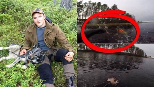 Шведский охотник не побоялся рискнуть жизнью, чтобы спасти своего пса, провалившегося в замерзшее озеро во время охоты на лося