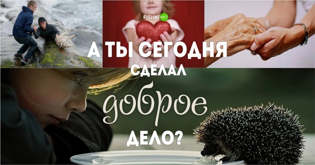 20 гифок, которые вернут вам веру в человечество