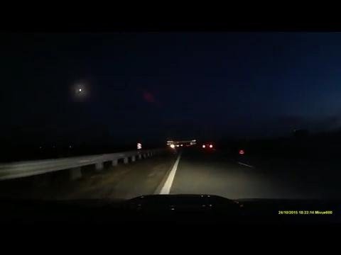 Корова на дороге 