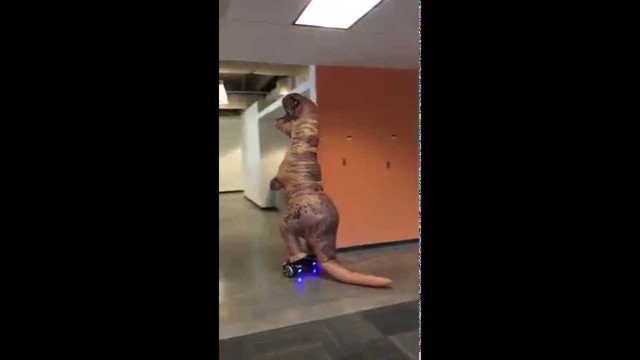 Динозавр в офисе на ховерборде