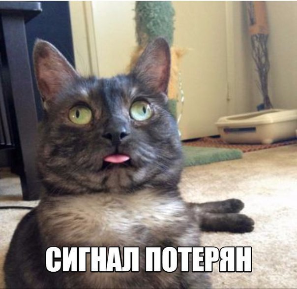 Смешные картинки с надписями