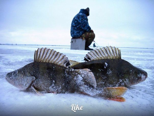 Если на зимней рыбалке вы провалились под лед