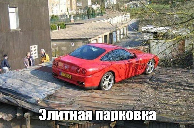 Прикольные картинки