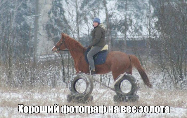 Прикольные картинки