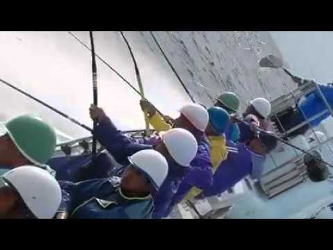 Мега рыбалка