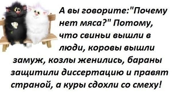 Кто посередине женится на свинке