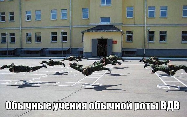 Прикольные картинки