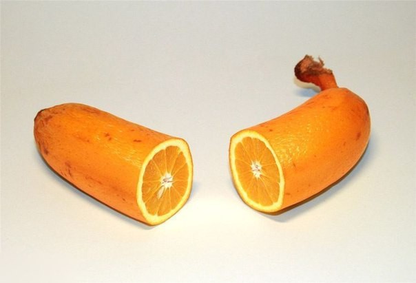 А что получилось бы, если скрестить фрукты между. Интересные фото фантазии