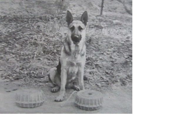 Акча (из серии «Байки старого прапорщика»)