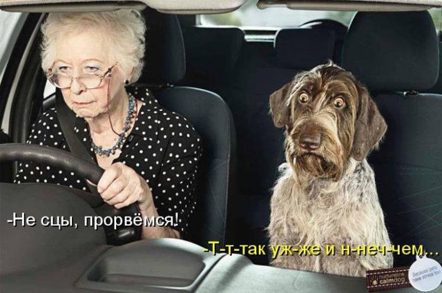 Смешные картинки с надписями для хорошего настроения!