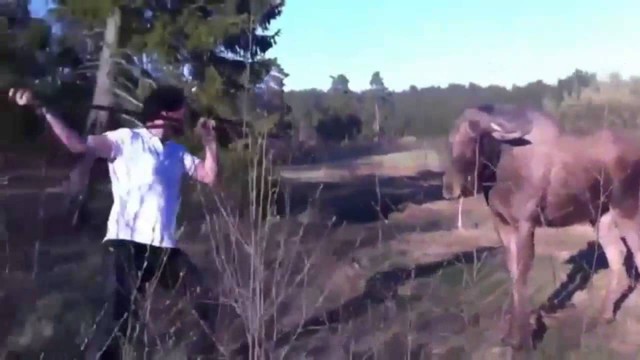 Вот как надо, а не убегать  Жесть