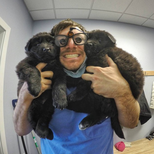 Стоматолог Тим и его собаки  