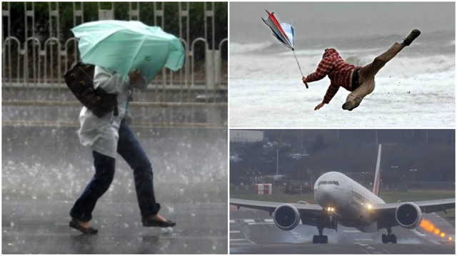 16 крутых гифок о том, что может натворить сильный ветер