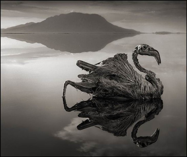 Озеро Смерти не из страшных сказок — оно существует!
