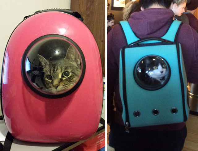 Рюкзак-переноска с иллюминатором, который позволит коту почувствовать себя космонавтом 