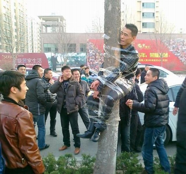 Автоматическая Упаковка Хвойных Деревьев