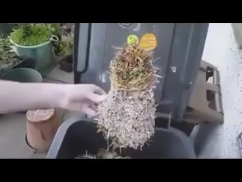 Какая-то неведомая хрень, загадка природы