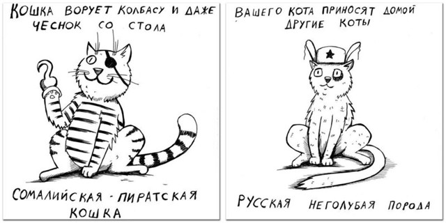 Определяем породу кошки по ее характеру