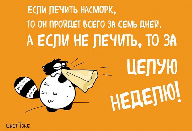 Великая мудрость гласит: не можешь завести настоящего енота, заведи вымышленного!  