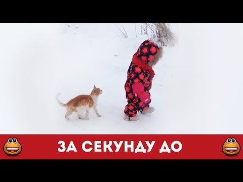 Захват, бросок