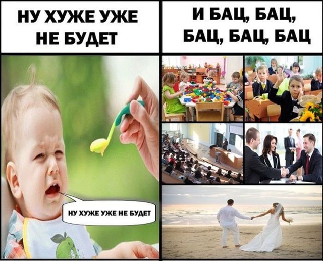 Прикольные картинки