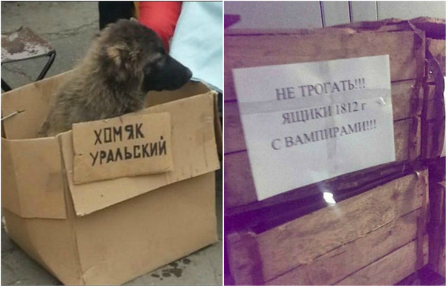 Объявления, которые поражают своей убедительностью