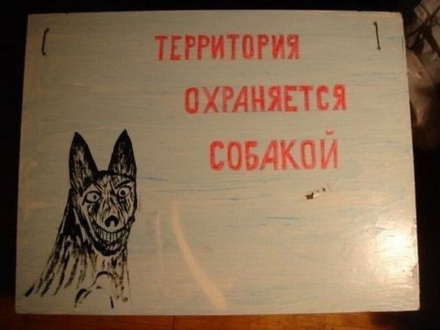 Прикольные картинки