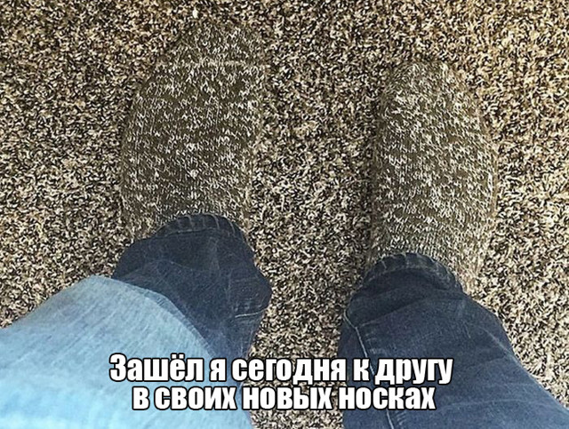 Прикольные картинки
