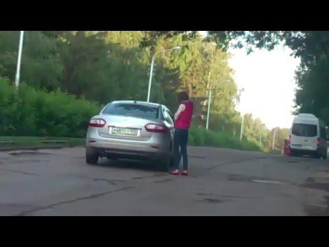 Неадекватное животное на дороге