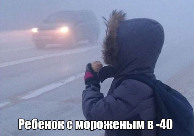 Прикольные картинки