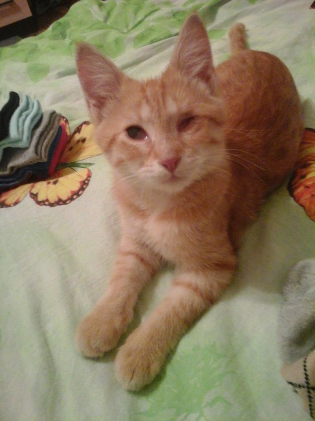 История Одноглазого Джека